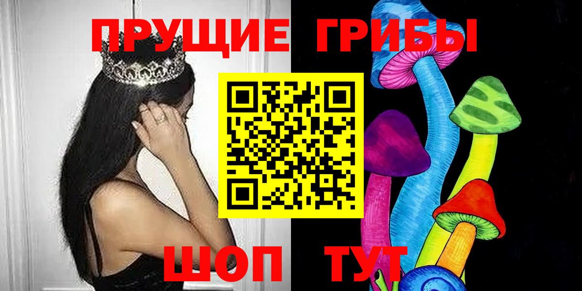 Псилоцибиновые грибы Psilocybe Нижний Тагил